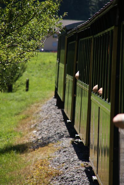 Seniorenauslfug_Waelderbahn_2015-06-30_DSC07043 (73).jpg